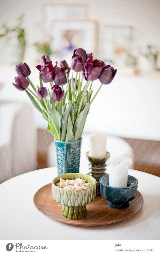 tulips Living or residing Flat (apartment) Decoration Table Vase Candle Earthenware Plant Flower Tulip Leaf Blossom Esthetic Friendliness Happiness Bright