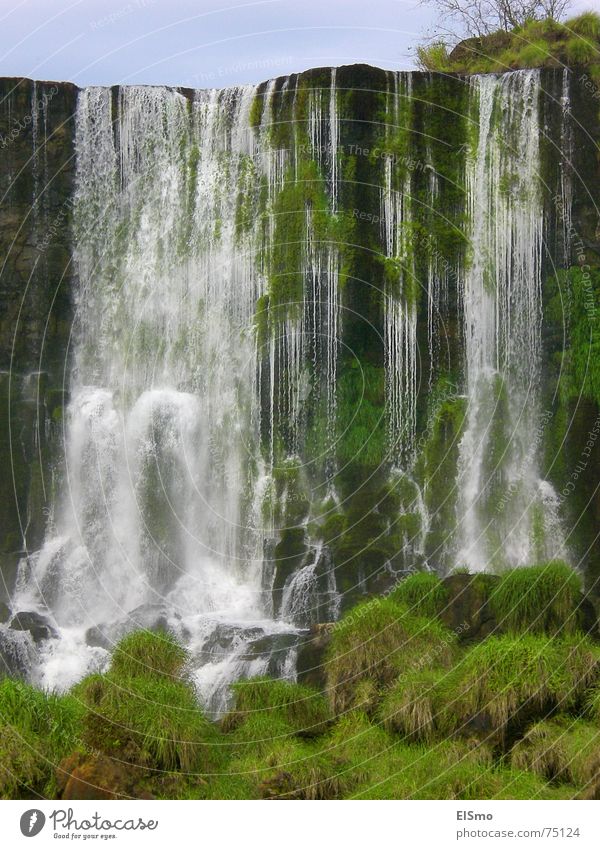 elixir of life Waterfall Green Grass Brazil South America Argentina Iguazu Falls Life foz
