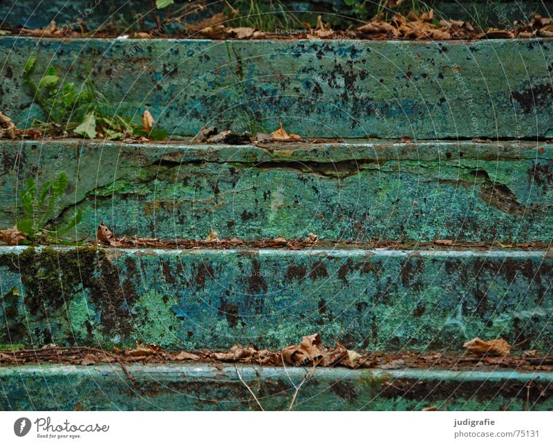 levels Parallel Green Turquoise Swimming pool Derelict Leaf Decline Flake off Downward Horizontal Autumn Verdigris Weathered Stairs Line Blue Old Colour Above