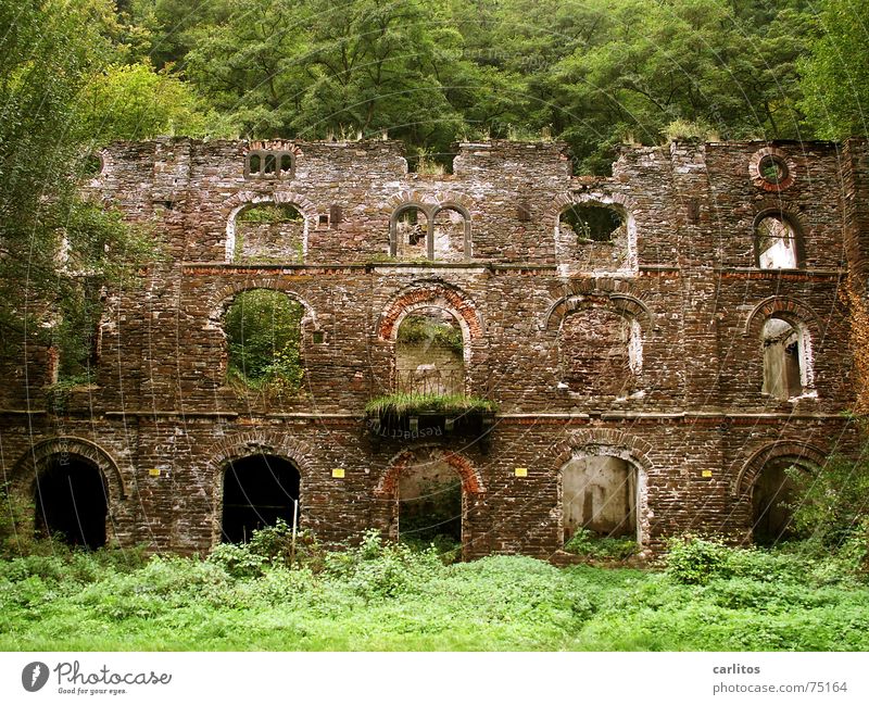 Old brewery on the Moselle Facade Ruin Derelict Tumbledown Historic Arch Balcony window openings nature recaptures everything Building Decline Transience Broken