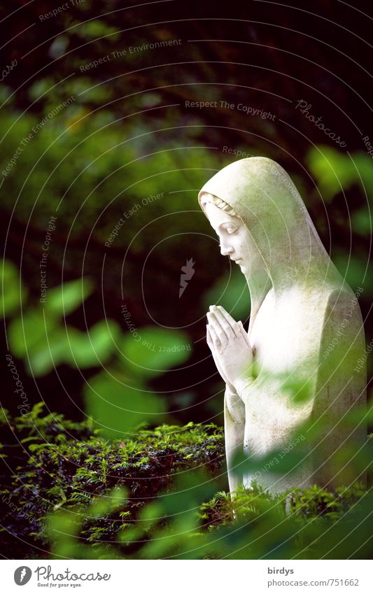 Prayer in the green Nature Plant Tree Leaf Park Statue statue of the Virgin Mary Esthetic Beautiful Feminine Green White Trust Compassion Goodness To console