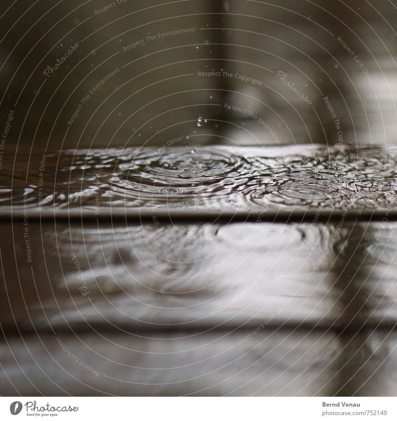 Out there. Water Drops of water Bad weather Rain Esthetic Brown Gray Black White Circle Terrace Wood Reflection Surface of water Water reflection Inject Sadness