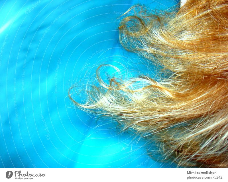 wet hair Strand of hair Beautiful Swimming pool Europe Transparent Azure blue Long Dark Strong Sterile Play of colours Blue tone Red Blonde Luxury Free space