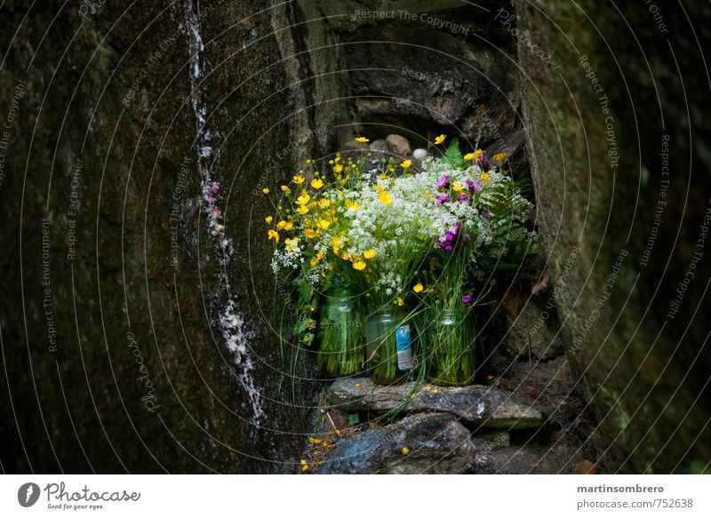 Sacred Grotto Spring Flower Rock Bouquet Sadness Grief Religion and faith Colour photo Exterior shot Deserted Copy Space left Copy Space right Day Long shot
