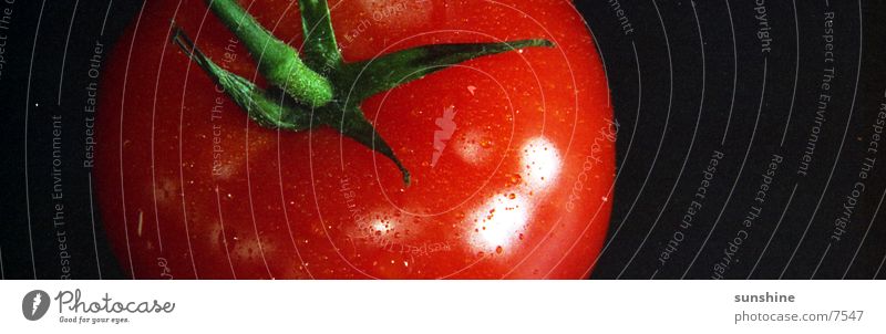 tomato Red Nutrition Tomato Vegetable