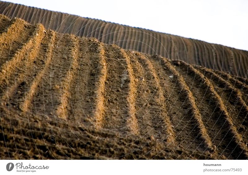 strip IM field Plow Autumn Agriculture Brown Hill Stripe Field hills Landscape Earth