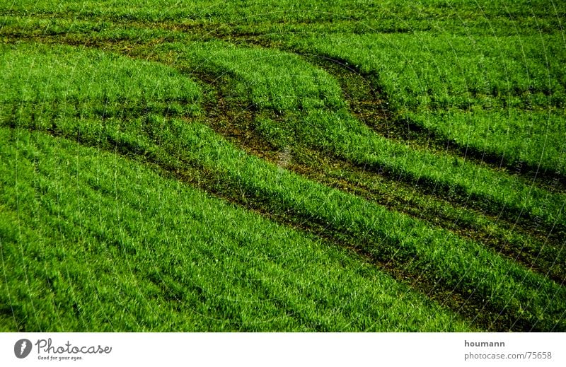 Tractose 1 Physics Pattern Green Grass Field tractor shadows Warmth Shadow Tracks Tractor track