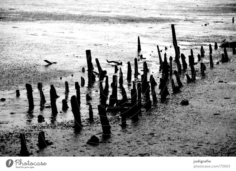 low tide Low tide Tide Mud flats Gray Gloomy Wood Black White Dark North Sea Pole weathered weathering Old Structures and shapes Line