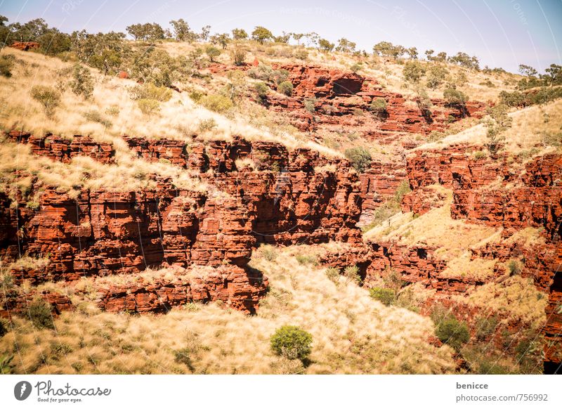 bush Australia Landscape Exterior shot Tree Bushes Red Earth Day Deserted Nature Countries Animal Sky Mountain Canyon