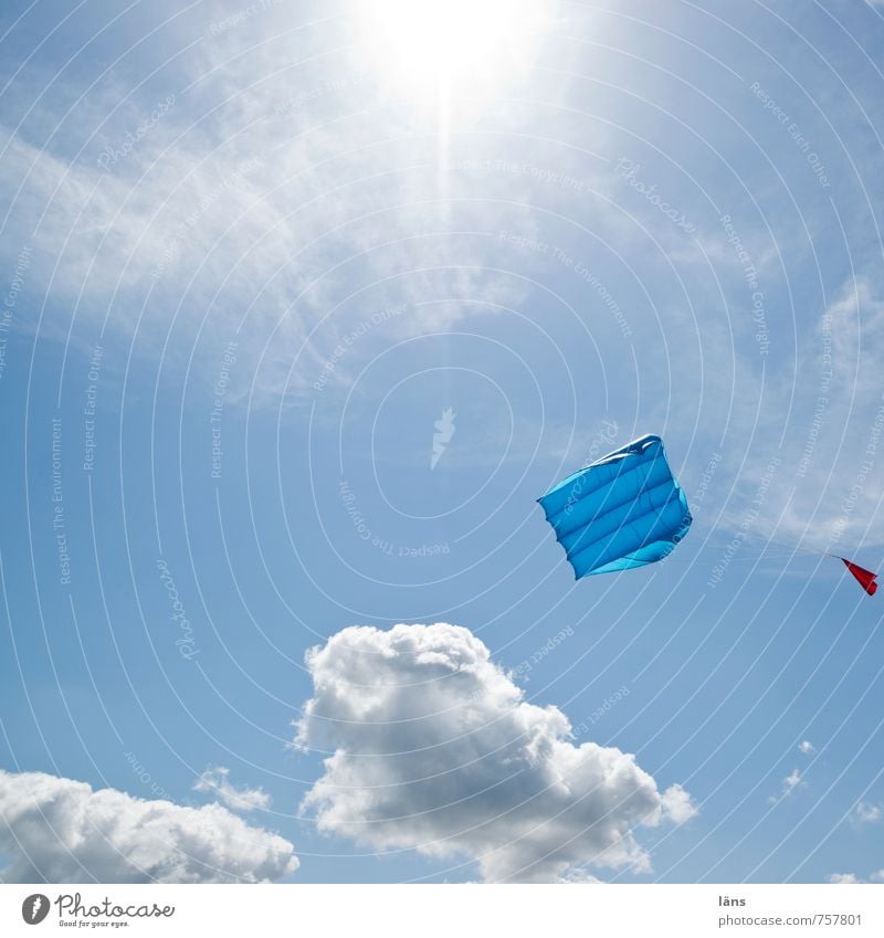 hover above all Leisure and hobbies Hang gliding Vacation & Travel Tourism Freedom Beach Sky Wind To hold on Sustainability Blue Desire Kite Colour photo