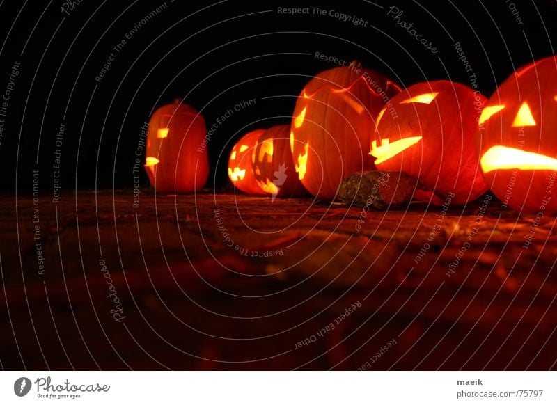 Pumpkin heads Hallowe'en Red Yellow Concave Night Black Candle Creepy Calm Physics Night shot Dark background Long exposure Light Orange Feasts & Celebrations