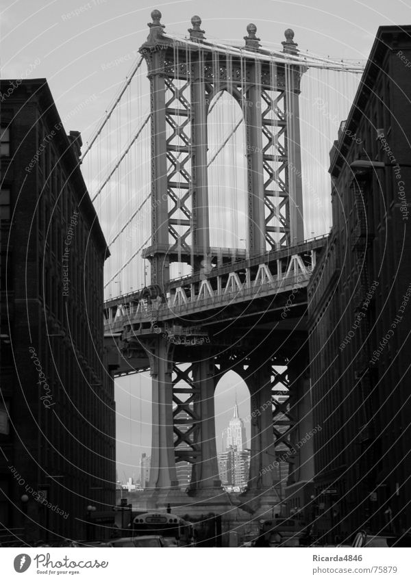New York, New York Empire State building New York City USA High-rise Beautiful Brooklyn Bridge Americas Gray scale value Vista Wire cable Wirewalker Cable car