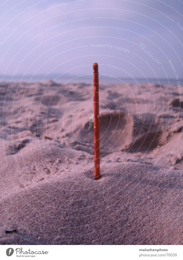Salt stick on the beach Beach Horizon Rod Vertical Sand Contrast Baltic Sea