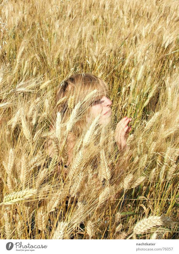 mademoiselle wheat Wheat Young lady Blonde Shampoo Exterior shot Hair and hairstyles Nature