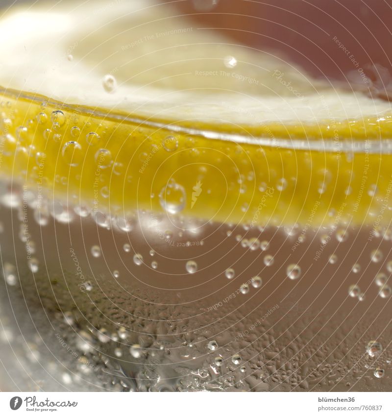 What's this temptation? Thirsty? Beverage Drinking Cold drink Drinking water Carbonic acid Slice of lemon Simple Fluid Healthy Natural Yellow Water Tumbler