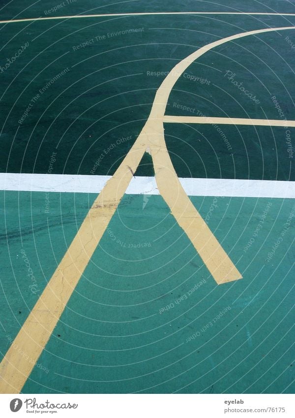 Who is the inventor of the lines ? Green Yellow White Tennis Tennis court Sporting grounds Round Hope Summer Vacation & Travel Playing Line Sports center tour