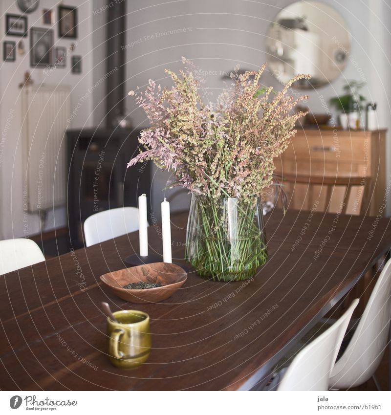 kitchen table Cup Living or residing Flat (apartment) Interior design Decoration Furniture Chair Table Mirror Kitchen Chest of drawers Plant Wild plant Bouquet