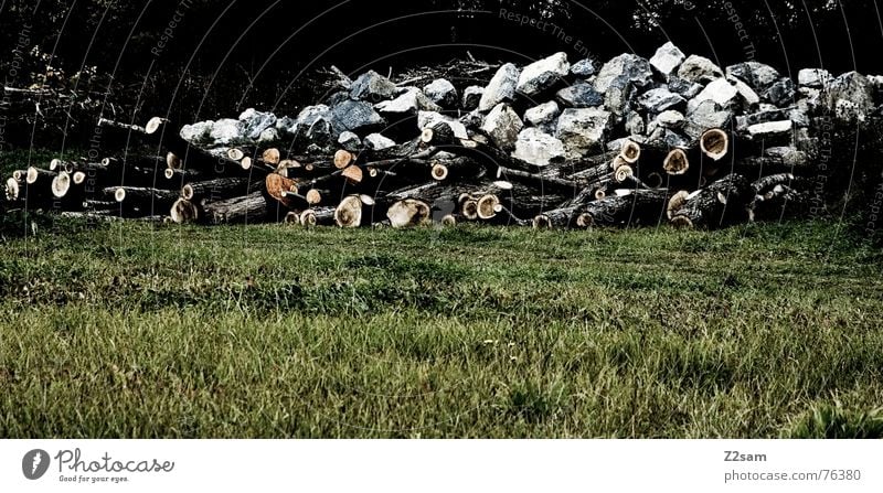 raw material Wood Saw Forest Meadow Green Brown White Heap Stone Rock Tree trunk Nature Mountain