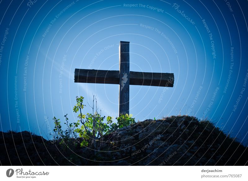 Summit cross on a mountain with plants and blue sky. Style Harmonious Leisure and hobbies Hiking trip Climbing Mountaineering Prayer Christian cross Nature