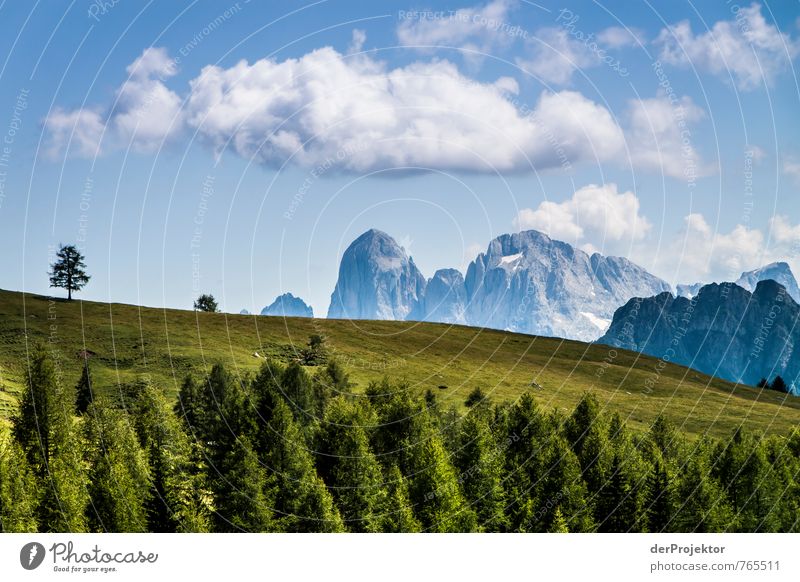 green-blue-white-dolomiti Vacation & Travel Tourism Trip Mountain Hiking Environment Nature Landscape Plant Elements Clouds Summer Tree Grass Meadow Forest Hill