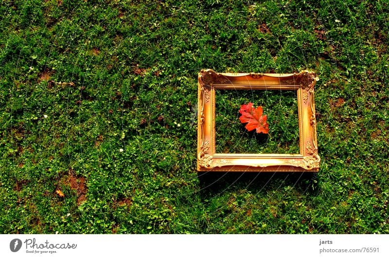 autumn picture Leaf Autumn Meadow Grass Autumn leaves Picture frame Art Image Frame framed jarts Gold Old