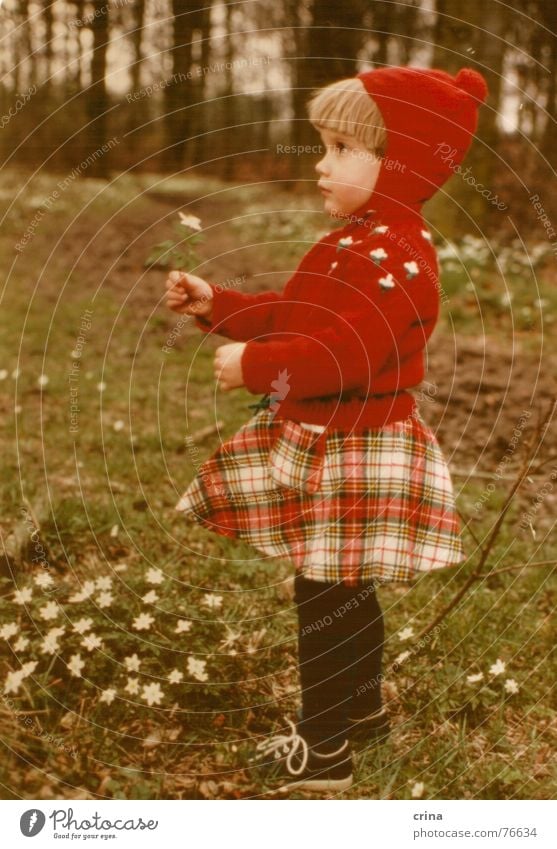 A girl stands in the woods - Version 2 Child Girl Red Forest Flower White Small Loneliness Checkered Tights Little Red Riding Hood