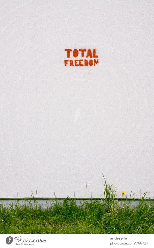 Total Freedom Art Wall (barrier) Wall (building) Stone Concrete Sign Characters Graffiti Fairness Creativity Desire Target Future Politics and state Wall plant