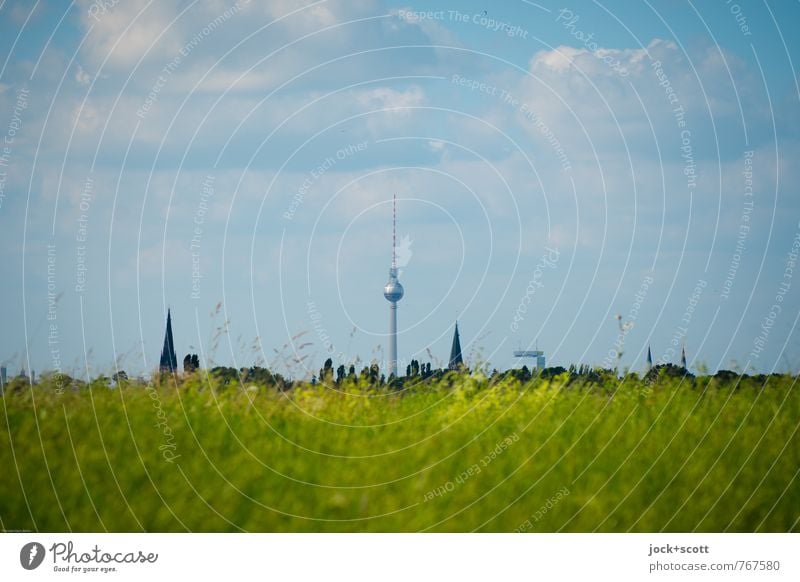 Berlin television tower under the open sky Air Sky Clouds Spring Meadow Skyline Berlin TV Tower Famousness Far-off places Free Idyll Center point
