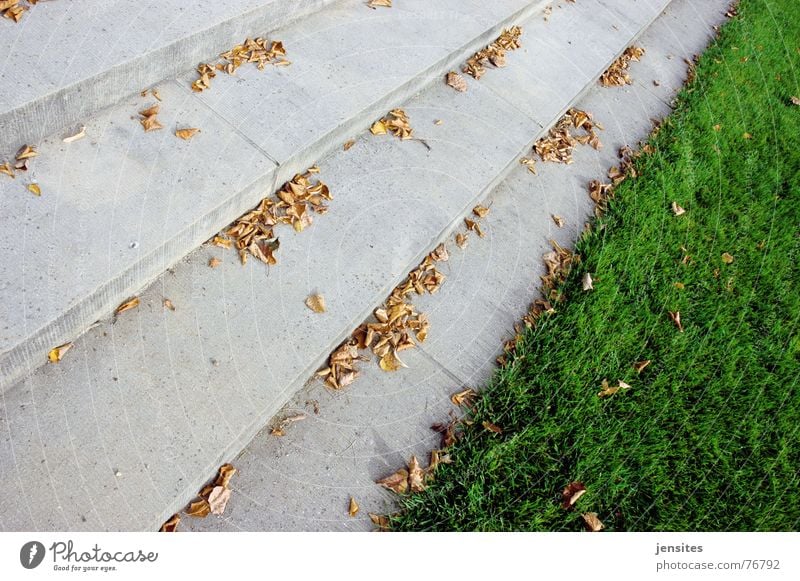 spring Grass Autumn Leaf Seasons Passion Gloomy Cold Green Gray Nature Stairs Lawn Stone carumn step leafs
