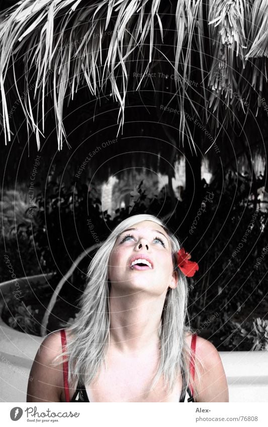 Hans looks in the air Straw Roof Red Amazed Vacation & Travel Summer Physics Flower Woman Beautiful UFO Hat Black & white photo Marvel Above Looking Shock