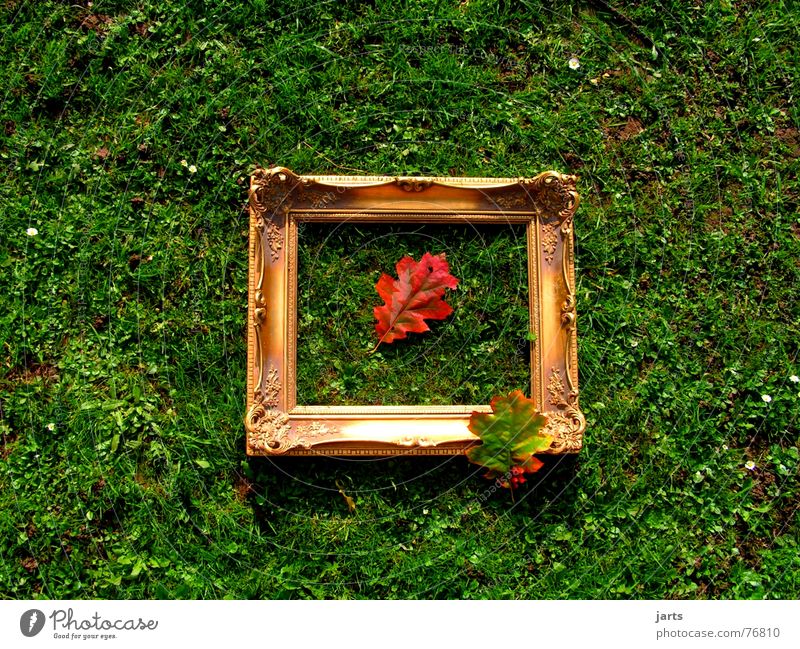 Autumn picture II Autumn leaves Leaf Picture frame Meadow Multicoloured Grass Image Frame Gold jarts