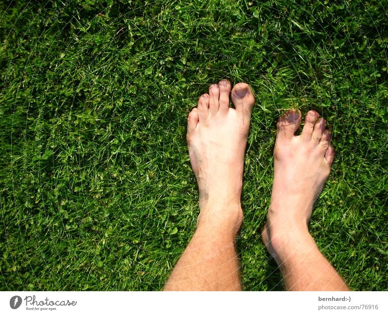 feet in green Summer Meadow Grass Toes Blade of grass Lawn Garden Nature Feet foot Parts of body Stand pure nature carpet of grass Barefoot