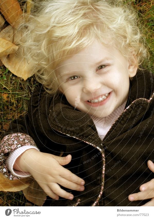 blond angel Child Girl Autumn Leaf Grinning Blonde Portrait photograph children To fall Laughter Curl curls Face smiling