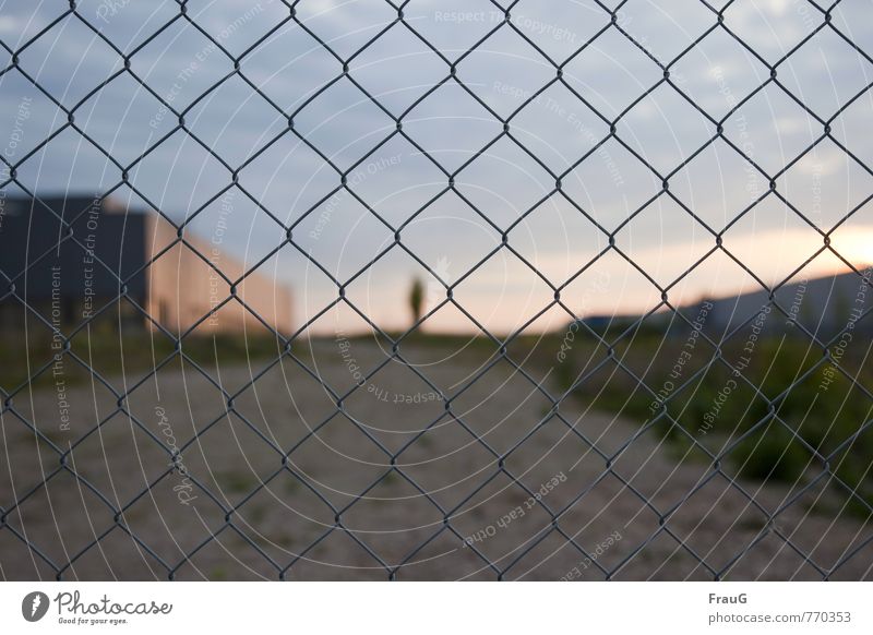 the world behind Fence Wire netting fence Sky Sunlight Spring Tree Bushes Outskirts Deserted Factory Manmade structures Building Metal Looking Far-off places