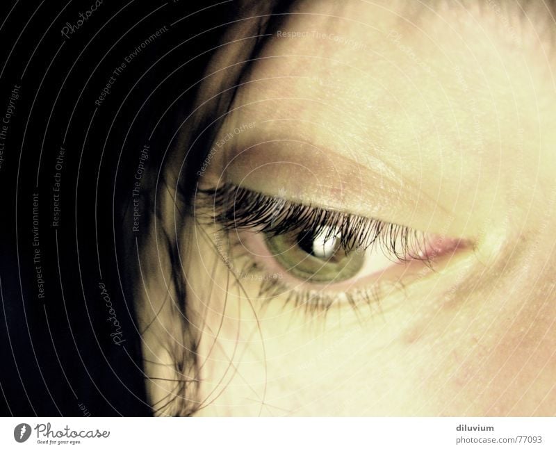 instrument Pupil Looking Eyes Iris Macro (Extreme close-up) Hair and hairstyles Skin Face Eyelash Women's eyes Face of a woman Detail of face Section of image
