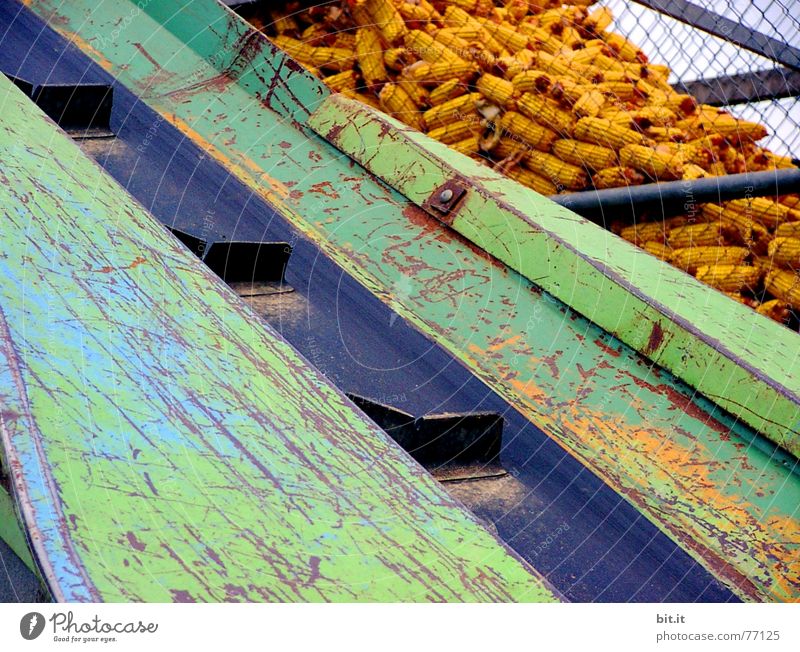 PC Slingshot Corn cob Conveyor belt Process Maximum