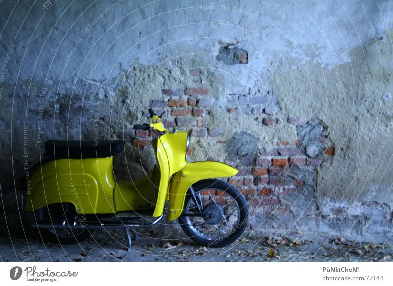 yellow bird Yellow Swallow Wall (building) Exhaust Driving Transport Engines Scooter Old Wheel Seating vehicle