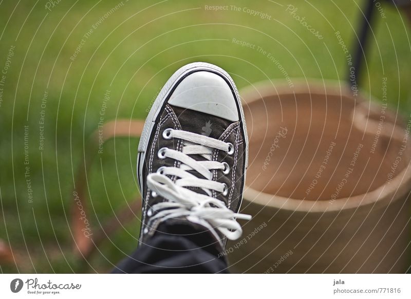 shoe Plant Grass Meadow Footwear Sneakers Chucks Hip & trendy Colour photo Exterior shot Deserted Day