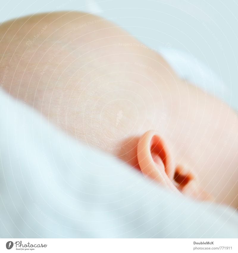 You can't see me! Baby Head Ear 1 Human being 0 - 12 months Lie Sleep Soft Pink Calm Relaxation Infancy Break Colour photo Subdued colour Interior shot Close-up