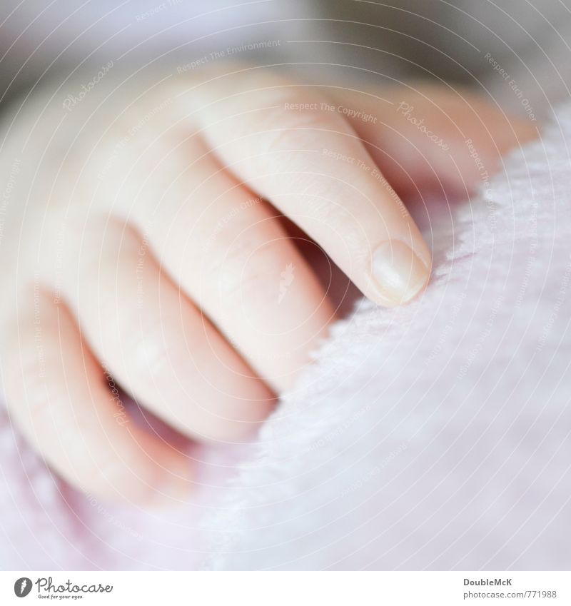 Since Da Da Baby Hand Fingers 1 Human being 0 - 12 months Touch Lie Small Near Natural Positive Soft Red Hope Relaxation Infancy Calm Contentment Indicate