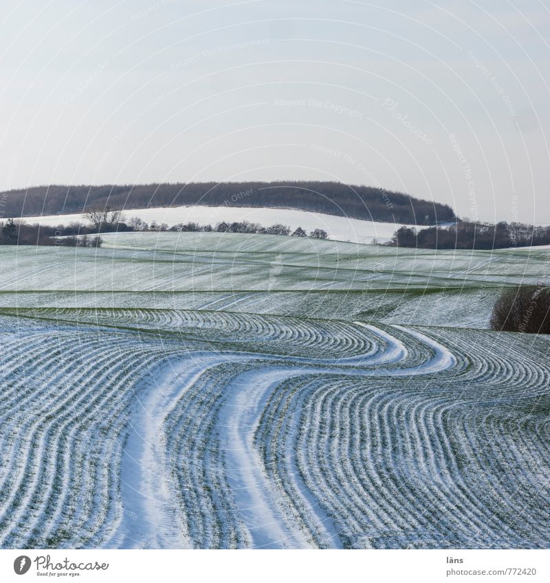 don't drink and drive Winter Snow Environment Nature Landscape Sky Ice Frost Field Cold Beginning Effort Tracks Line Stripe Colour photo Pattern
