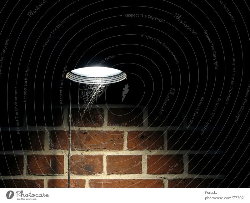 cone of light Spider's web Cable Cone of light Lamp Wind Brick Wall (building) Night Electricity Light Gust of wind Wall (barrier) Industry Things