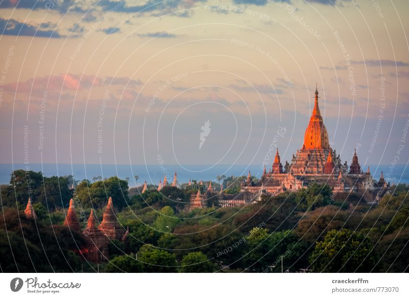 stupa Vacation & Travel Tourism Adventure Far-off places Sightseeing Culture Clouds Beautiful weather Forest Bagan Myanmar Deserted Stupa Esthetic Authentic