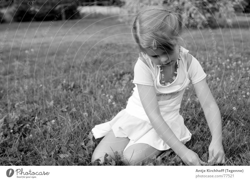 Little Fairy Girl Friendliness Sweet Graceful Kindergarten Child Dreamily Playing Open Portrait photograph Meadow Exterior shot Braids Dress Summer Spring