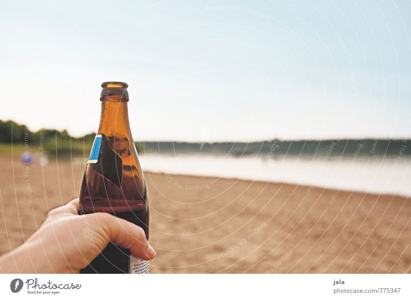 Cool Blondes Beverage Cold drink Alcoholic drinks Beer Bottle Hand Fingers Nature Landscape Sky Lakeside Fresh Delicious Refreshment Thirst Thirst-quencher
