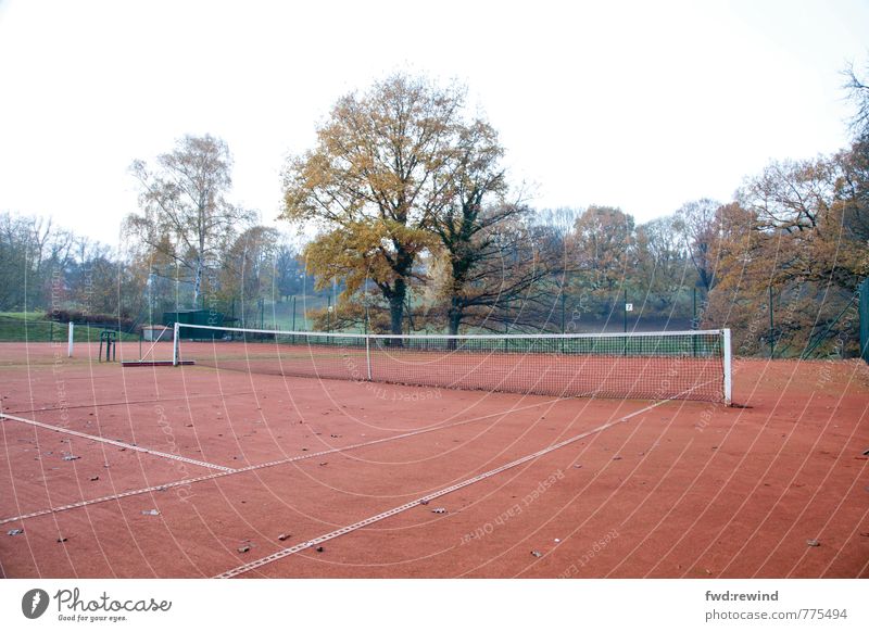Tristes Tennis Sports Ball sports Sporting event Net Tennis court Sporting Complex Autumn Bad weather Looking Wait Emotions Moody Patient Calm Longing