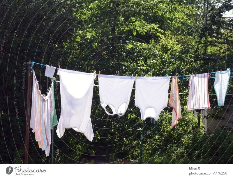Pure Series Living or residing Garden Sun Sunlight Summer Clothing T-shirt Underwear Wet Clean Dry White Cleanliness Purity Clothesline Washing Laundry Cleaning
