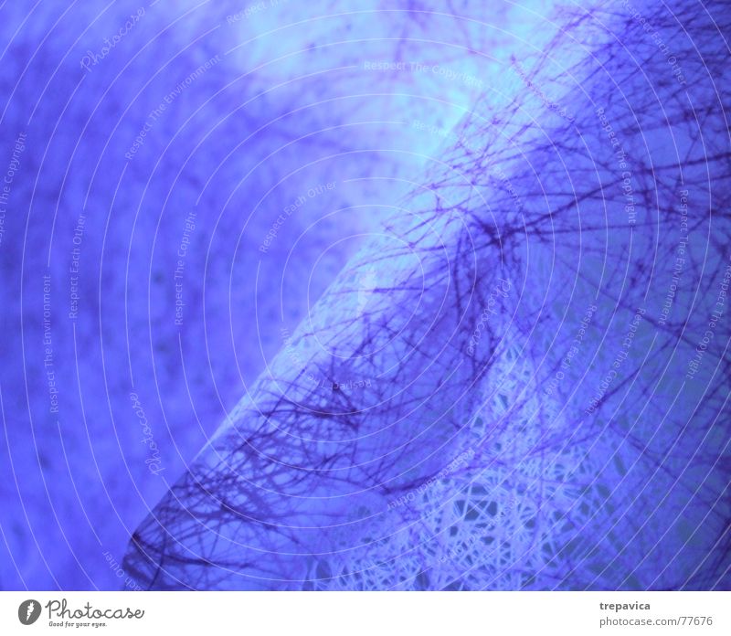 purple Violet Winter Background picture Glittering Play of colours Colour tone Pattern Paper Complicated Line Night Net Blue Ice Structures and shapes Lighting