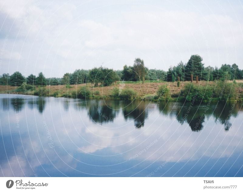Mirror of nature Reflection Lake Green Heathland Water