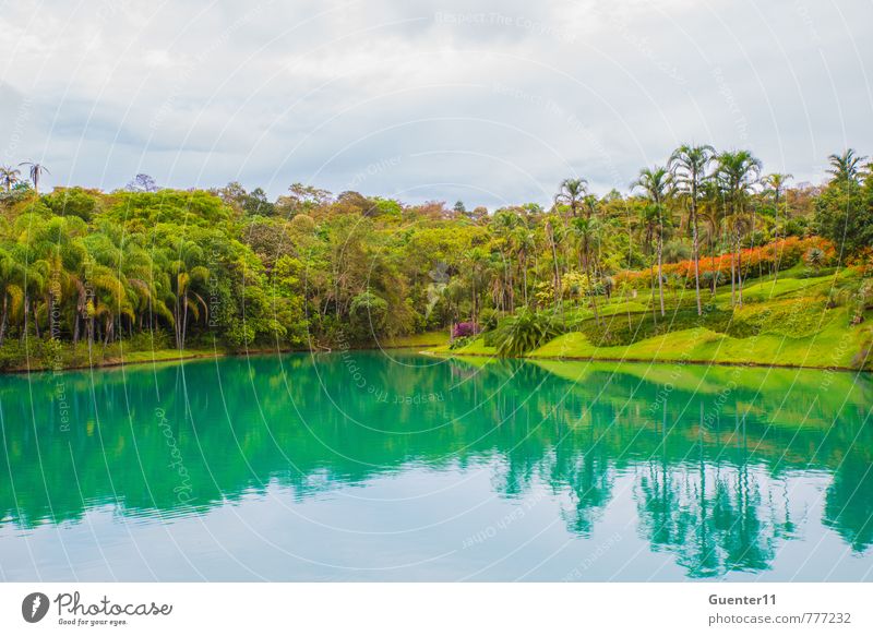 Small lake in Minas Gerais, Brazil Environment Nature Landscape Air Water Cloudless sky Clouds Summer Warmth Park Lakeside Joy Friendship Peace Colour photo